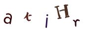 Obrázkové CAPTCHA